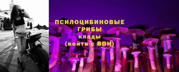 ALPHA PVP Козельск