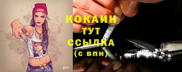 ALPHA PVP Козельск