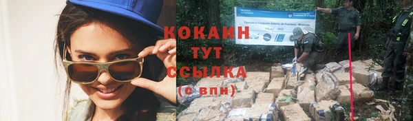 spice Кодинск