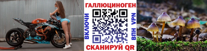 Псилоцибиновые грибы Psilocybe  где купить   ссылка на мегу зеркало  Кремёнки 