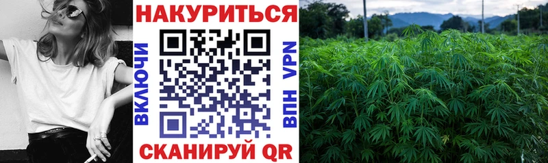 Марихуана план  где можно купить   Кремёнки 